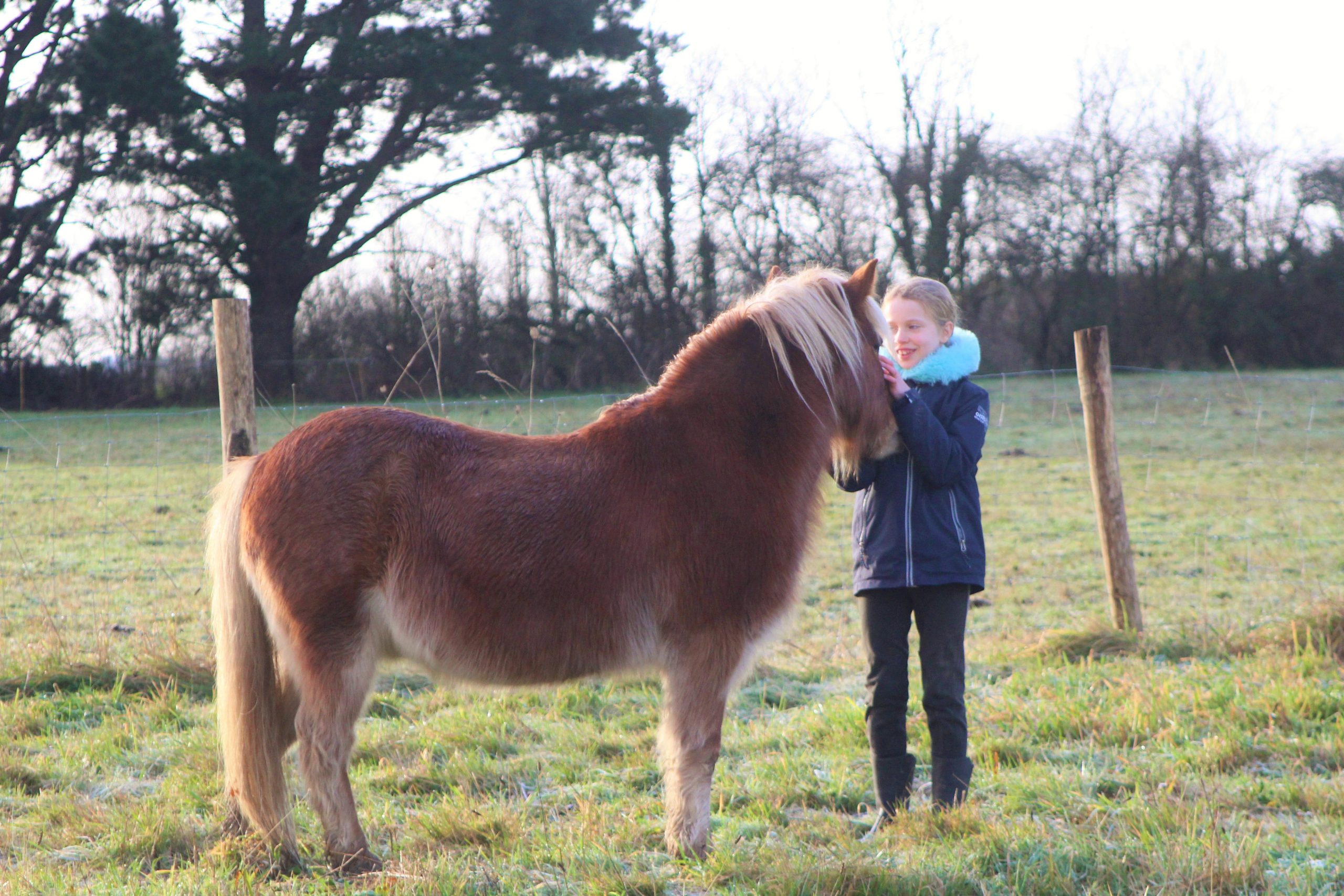 EVAYA - Rozenn Le Gloahec - Cheval Alham - Morbihan 56