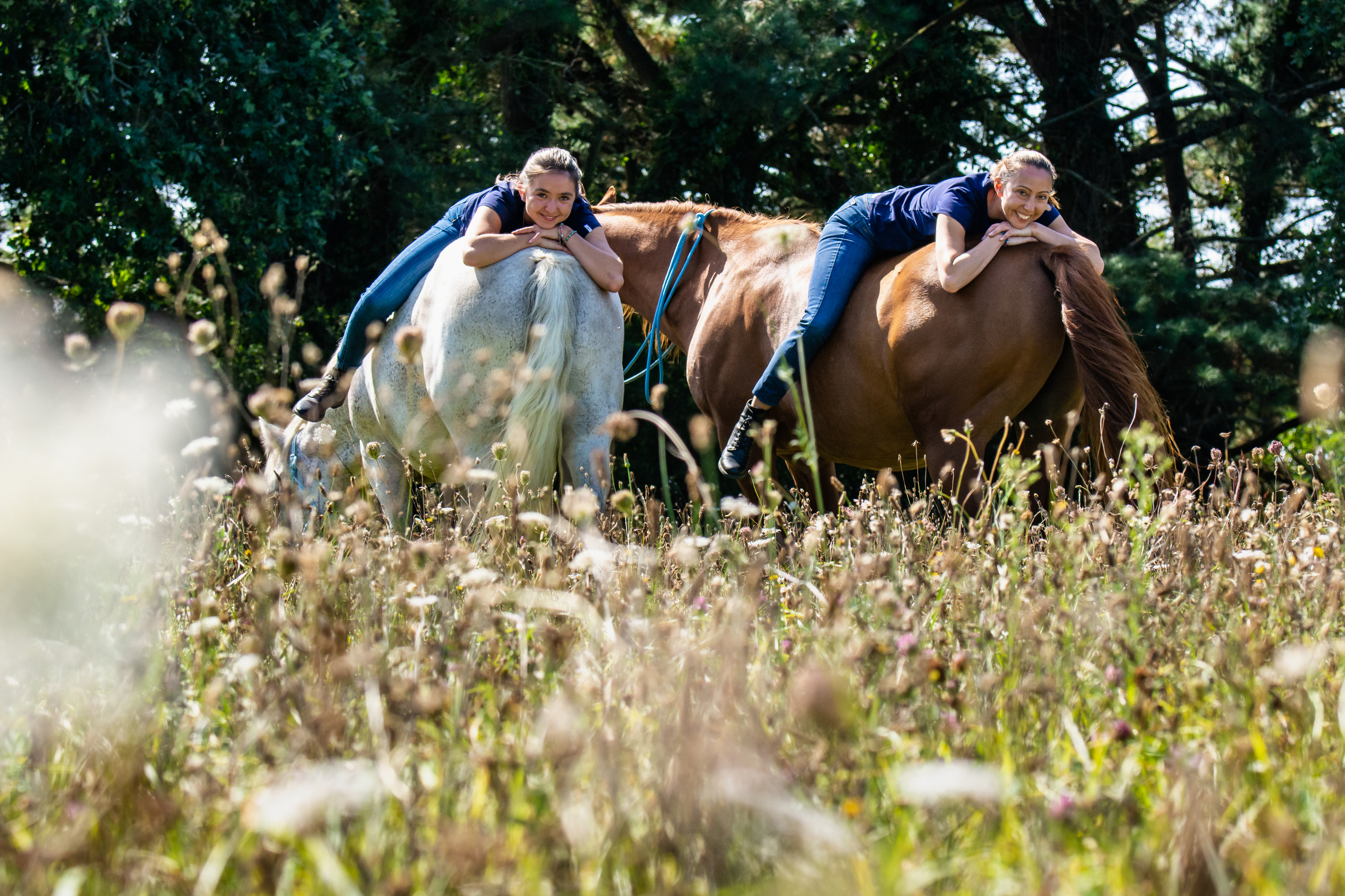 Evaya-Equicoaching-Morbihan56