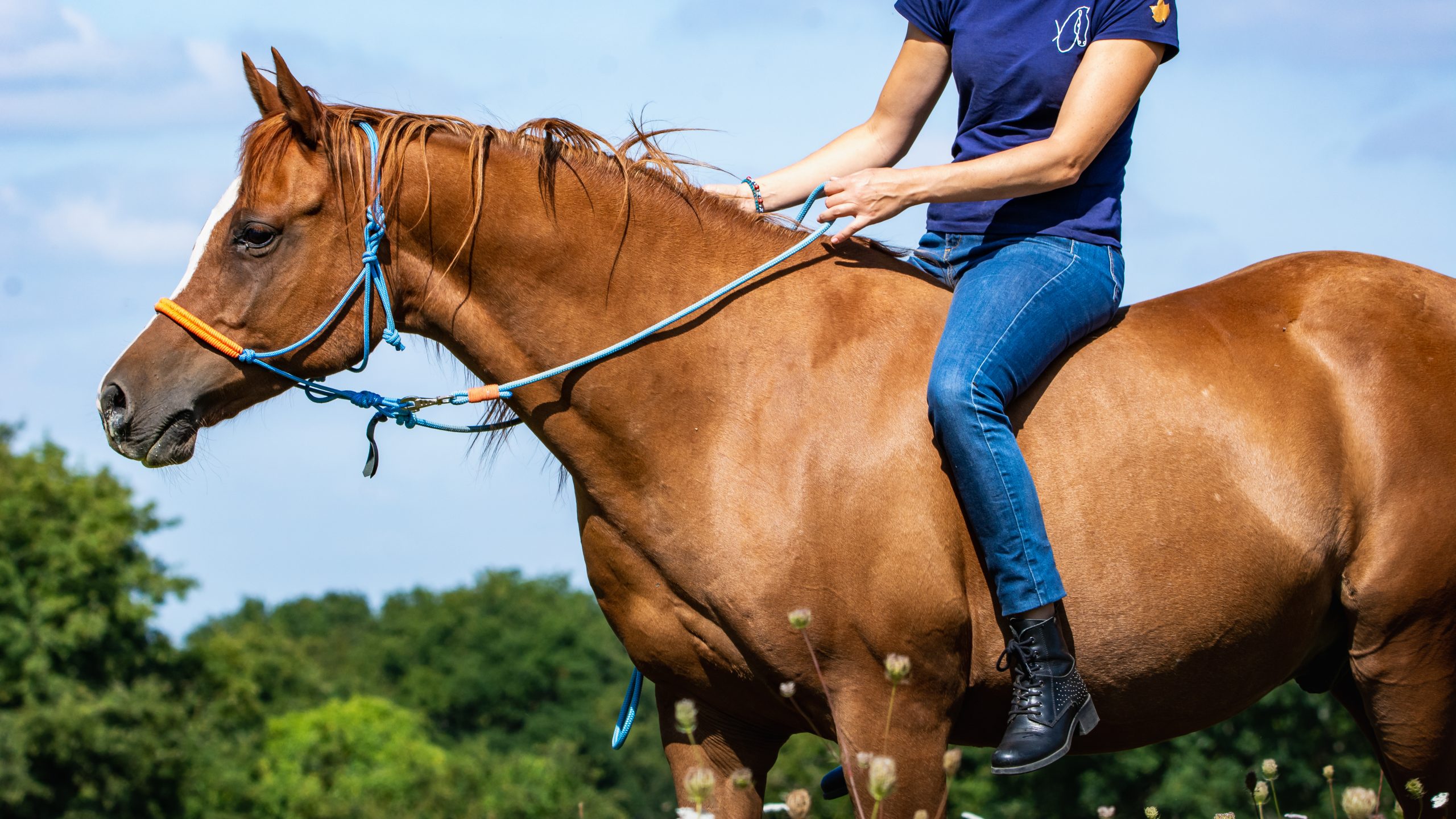 Rozenn montant son cheval bai en extérieur