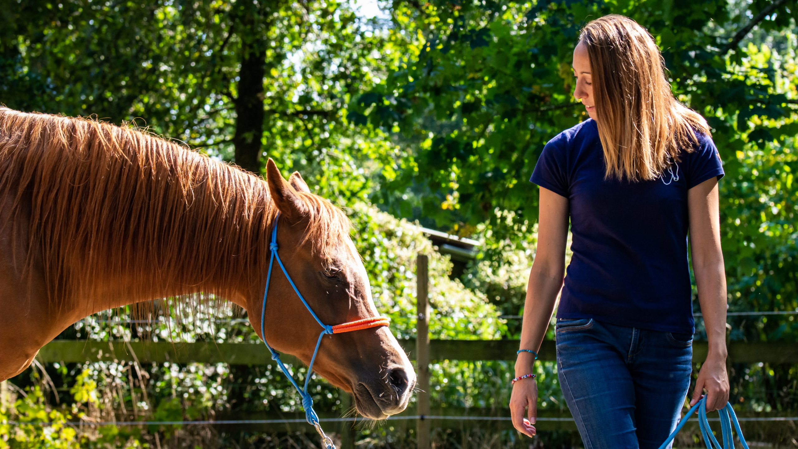 Rozenn posant avec son cheval alezan en extérieur